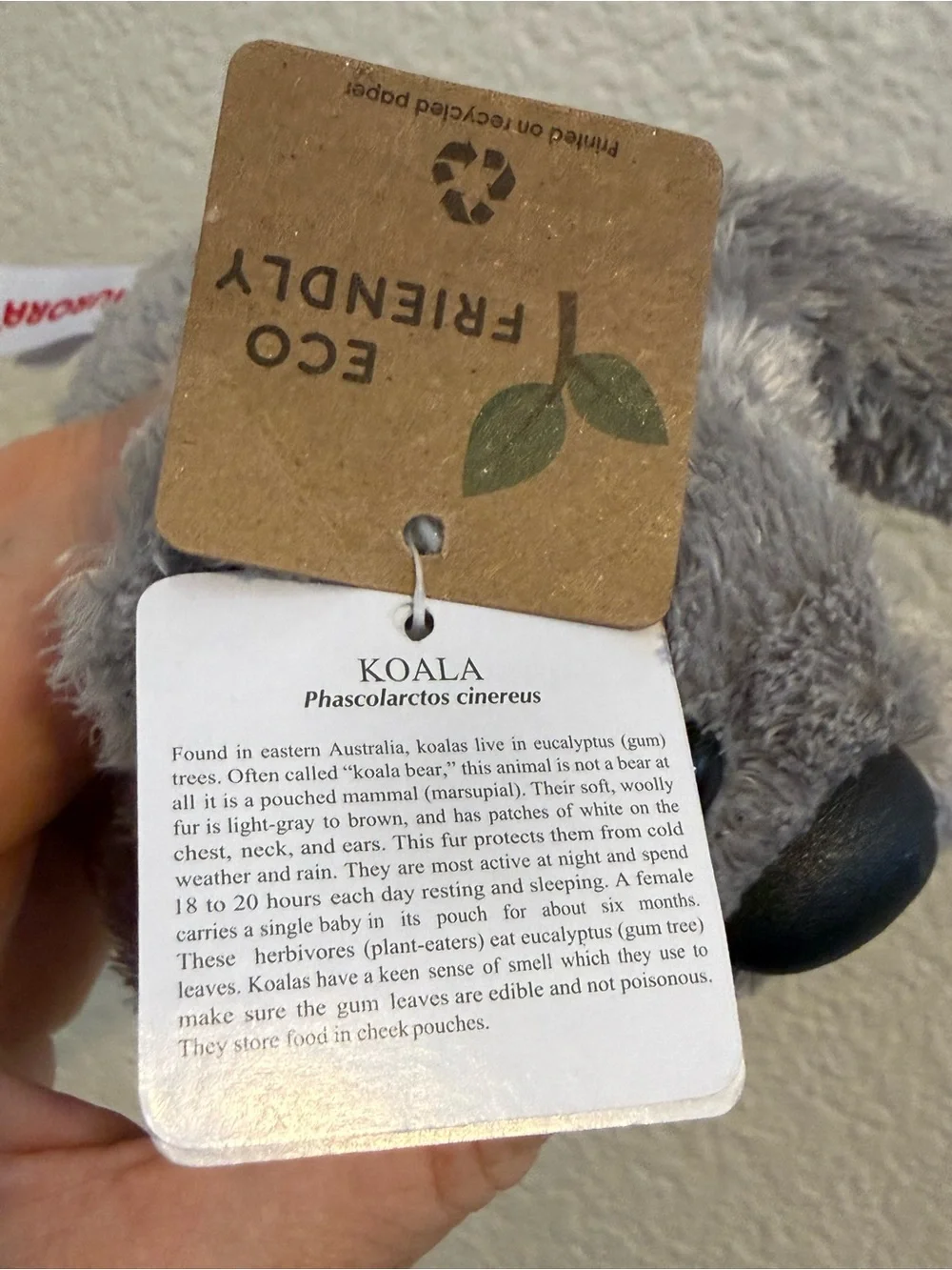 Aurora Koala Plush With Tags San Diego Zoo Souvenir